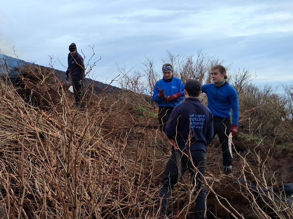 RSPB Trumland Volunteers